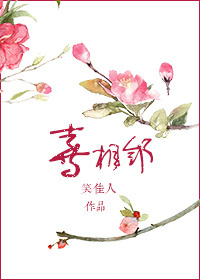 xvid