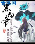 空中决战高清在线观看
