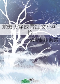 第一次3q大战的经过