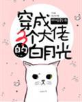 在线播放泽村丽子 母
