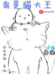 午夜成年片在线观看