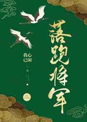 爱情公寓同人小说