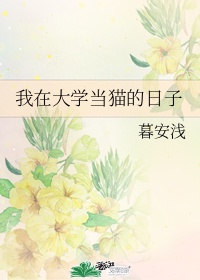 火影忍者纲手x鸣人无翼乌