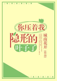 二十不惑免费观看全集完整版