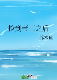 风流村长小说全集