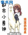 91碰视频
