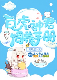 思思精品视频