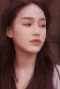 6080网站免费观看