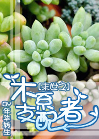 野人电影