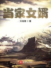 少年大宝风流