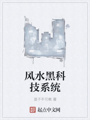 黑狐之风影