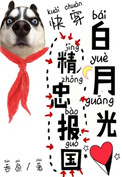 骑蛇难下(双)肉