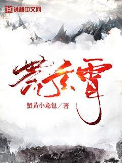 少年大宝风流
