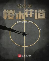 电视剧当家主母多少集