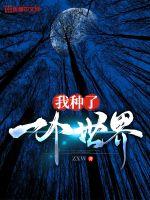 青青子衿全文免费阅读