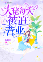 绝对计划电视剧