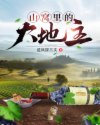 陈扬绝世高手7500章