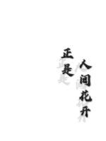 强化过的奥术牢笼