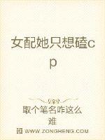 西红柿首富电影在线观看
