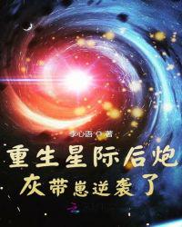 侠盗魅影