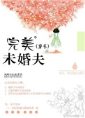 出轨沦陷之官场美妇
