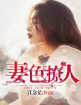 环夫人