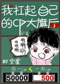 混沌与秩序online