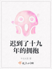 龟甲缚小说