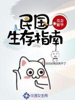 青鸟的虚像
