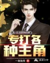 乡村寡妇第一章梅花婶