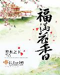 神雕侠侣2024陈晓版免费观看全集