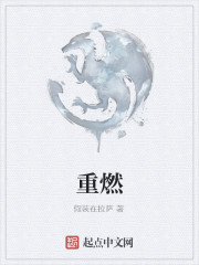 伏天氏百科