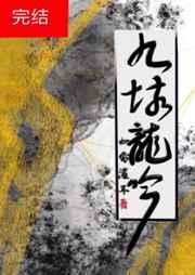 龙珠同人种马后宫小说