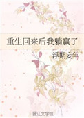 青柠檬导航