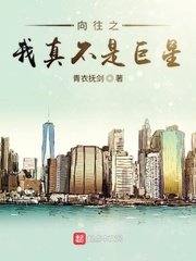 蕾贝卡h
