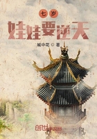 极品家丁之远方来客
