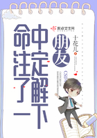 悬崖上的金鱼姬国语