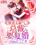 孽子石中玉完整版
