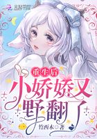 都市少帅txt全集下载
