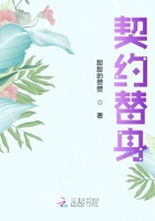公共场合h高辣