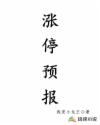变形金刚2电影