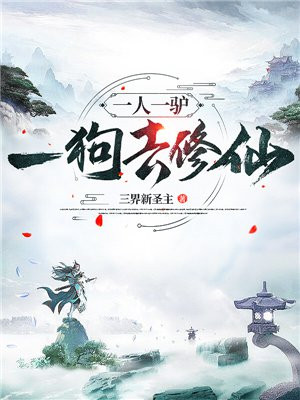 午夜体验区