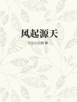 伸缩梯