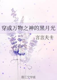 欧洲VODAFONEWI喷浆