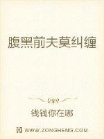 一夜皇帝
