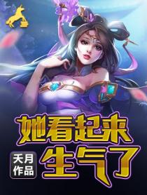 印度剧王的女人电视剧免费观看完整版