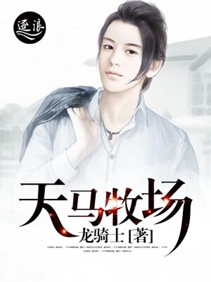 可变导向车道线