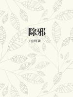 穿越之大清民间皇子