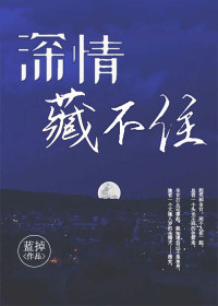 2024韩国r极限电影全集