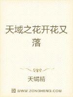 《狼烟》电视剧